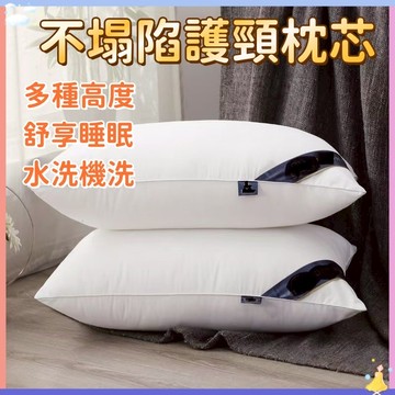 【現貨隔日到貨】吸濕排汗枕 緹花枕芯 民宿枕芯 飯店枕芯 羽絲絨枕芯 雙面防水枕套保潔墊 枕頭 床包 枕芯3m
