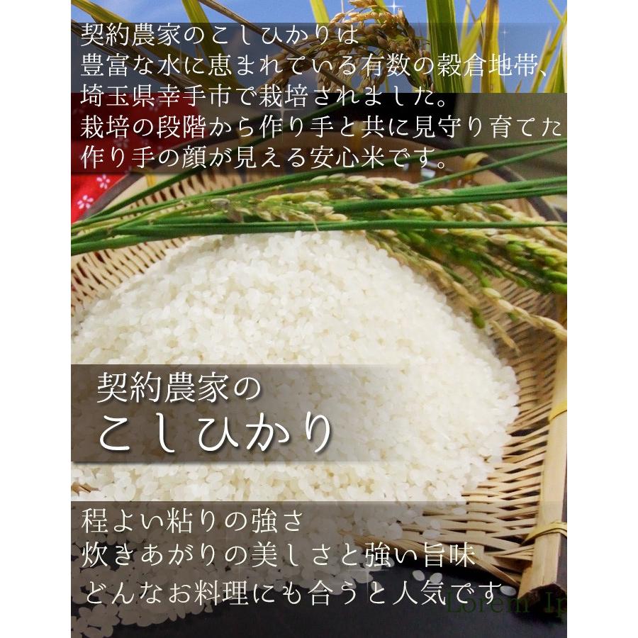 米 こしひかり 埼玉県 令和5年 白米 玄米 24kg 地域限定 送料無料