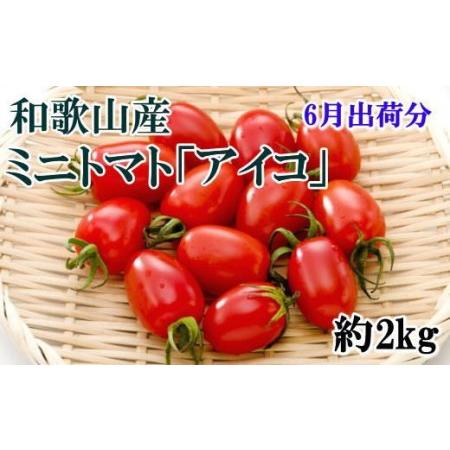 ふるさと納税 和歌山産ミニトマト「アイコトマト」約2kg（S・Mサイズおまかせ） 和歌山県串本町