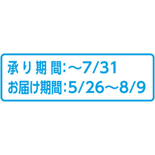 お肉の専門店 スギモト 松阪牛入り煮込みハンバーグ 