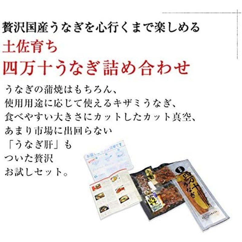 魚耕 四万十 うなぎ蒲焼 国産 詰め合わせ セット ギフト