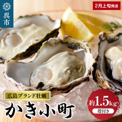 丸十水産 広島ブランド牡蠣 殻付き かき小町 約1.5kg  (8～10個
