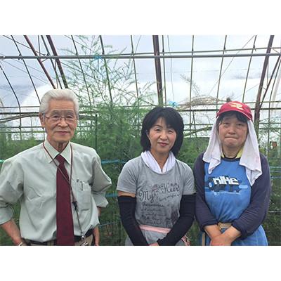 ふるさと納税 北斗市 北斗市産　有機野菜10〜12種類野菜セット 紙箱入(季節で種類が変わります)