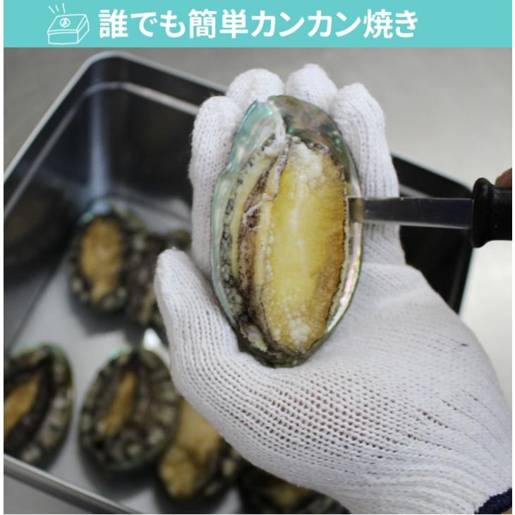 豪華なあわびでカンカン焼き　８個  軍手、ナイフ付き　[あわび]