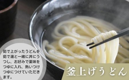 《モチモチに強いコシ》 さぬきうどん 半生 早ゆでタイプ 30人前 香川 紀州屋 本場讃岐うどん