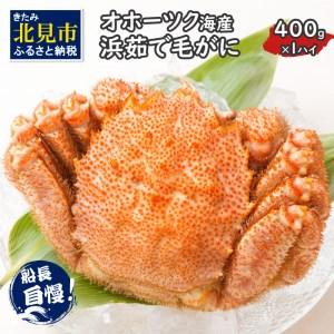 ふるさと納税 《14営業日以内に発送》オホーツク海産 浜茹で毛がに 400g×1パイ 北海道北見市