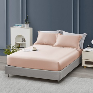 J-bedtime 床寢時光 60支奧地利正版蘭精 100%純天絲床包 + 枕套 2個 S5554L  Queen Size  煙霧玫瑰