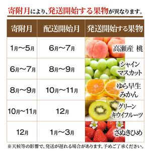 ふるさと納税 産地厳選三豊のフルーツ５回定期便B_M64-0040 香川県三豊市