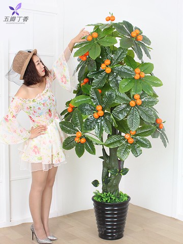 假樹蘋果樹金桔果樹室內裝飾防真花植物盆栽擺設客廳大型落地綠植