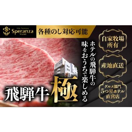 ふるさと納税 飛騨市推奨特産品飛騨牛　希少部位入り福袋　焼肉セット　総重量１２００ｇ[F0008nn] 岐阜県飛騨市