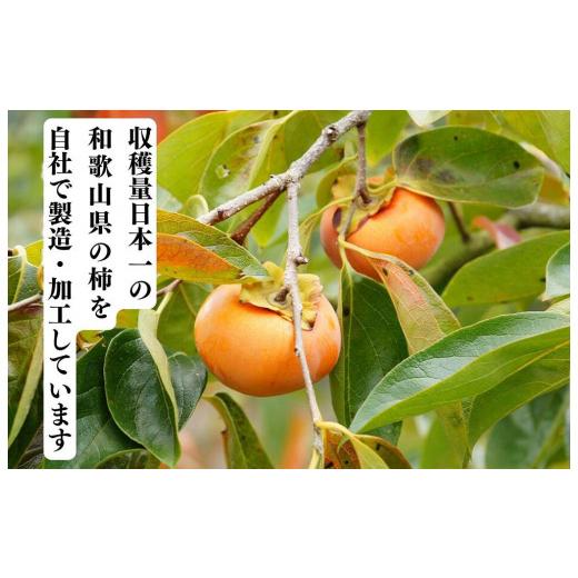 ふるさと納税 和歌山県 有田川町 ドライフルーツ 柿チップ 1kg 50g × 20袋 和歌山県産 果物使用 自社製造 