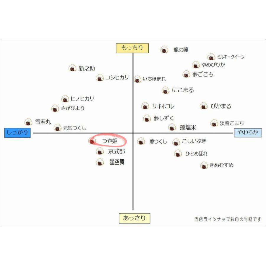 米 お米 新米 10kg つや姫 (5kg×2) 特別栽培米 お米マイスター厳選 山形県産 令和5年産