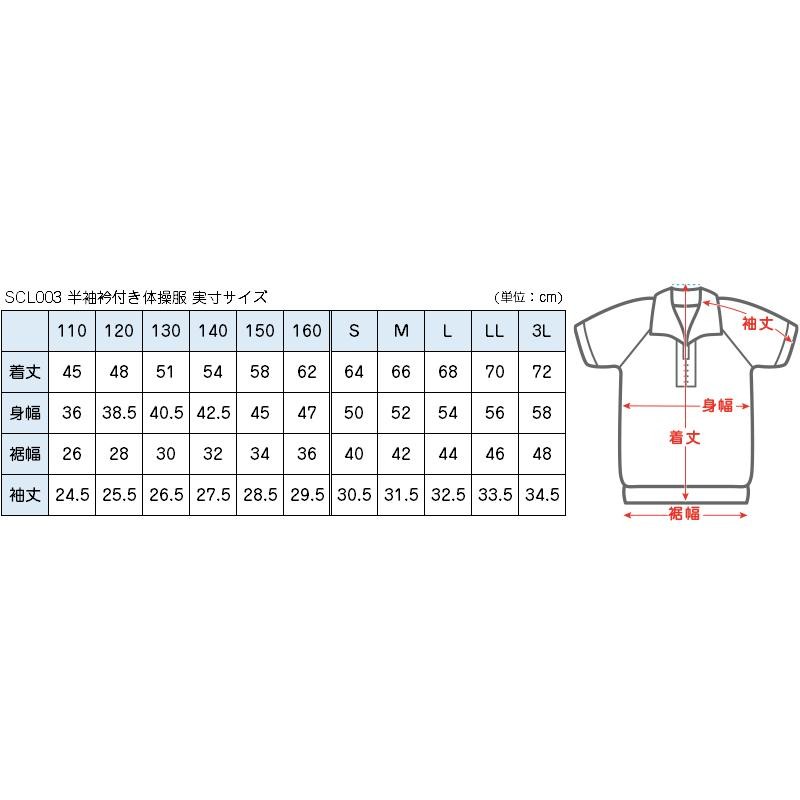 服 の トップ サイズ 3l