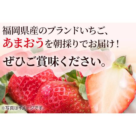 ふるさと納税 農家直送 朝採り新鮮いちご [(約270g)×4パック]＜2023年12月以降順次出荷予定＞ 福岡県田川市