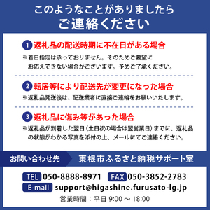 りんご サンふじ 10kg(秀品)　東根農産センター提供