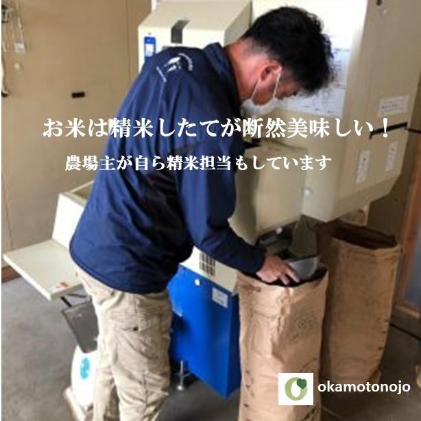 　ひゃくまん穀　お米　10kg　玄米精白米選べる　一等米　石川県産　生産農家　農家直送米　送料込み