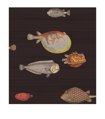 Cole & Son x Fornasetti Acquario Wallpaper Roll