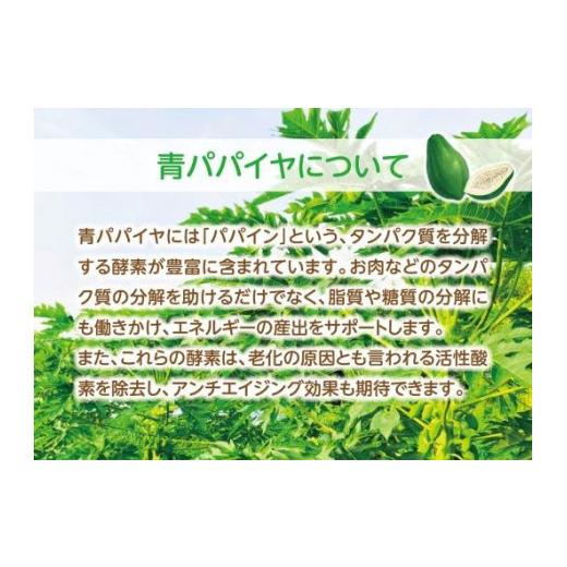 ふるさと納税 鹿児島県 大崎町 鹿児島県産有機青パパイヤ　約5kg（5〜10玉）