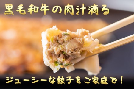 倉薗牧場肉汁滴る黒毛和牛100％餃子　6P（48個）