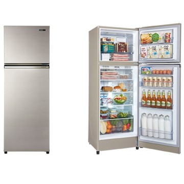 下單享10%回饋 SAMPO聲寶250L 一級變頻 星美滿兩門電冰箱 SR-C25D(Y9)晶鑽金 全省安運 有贈品
