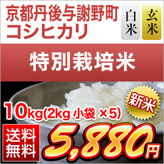 新米 令和5年(2023年)産 京都丹後与謝野町産 コシヒカリ 10kg(2kg×5袋) 