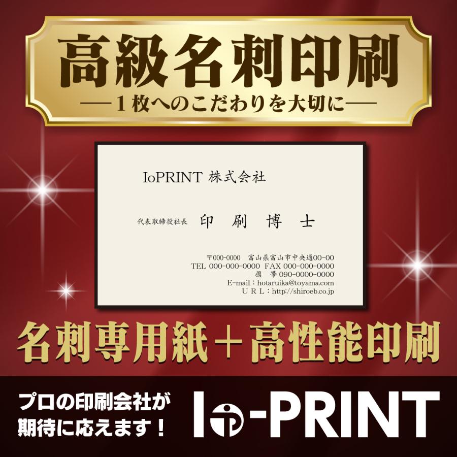 名刺作成 高品質 100枚 白黒印刷 選べる名刺専用紙 校正なし データ入稿印刷も可能 送料無料