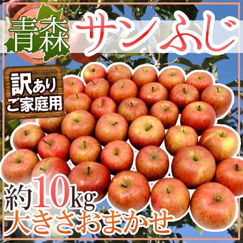 りんご 青森産 ”サンふじりんご” 訳あり 約10kg 大きさおまかせ 送料無料