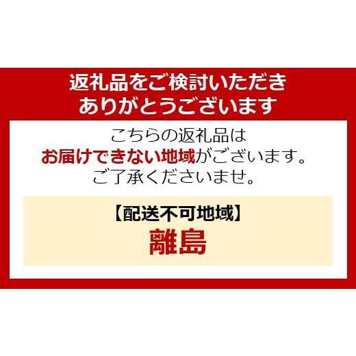 ふるさと納税 宮城県 角田市 おかゆ　梅がゆ 250g×40個