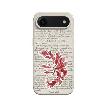 iPhone Air SolidX 貝殼灰 - The Seaweed Studio - 海藻標本集