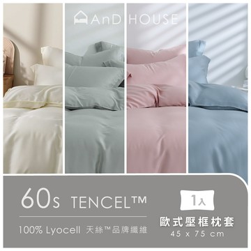 天絲60支-單品／枕套1入(不含床包、被套)｜AnD House 安庭家居 素色 顏色任搭