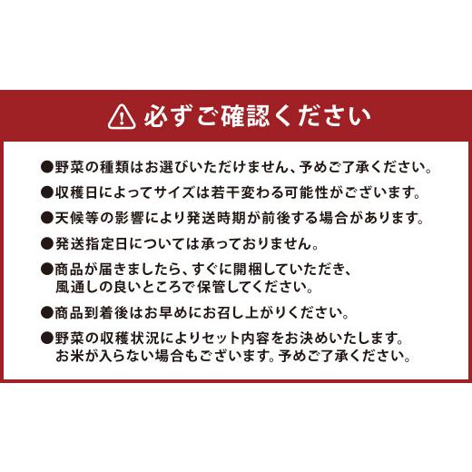 ふるさと納税 熊本県 上天草市 上天草母ちゃん 農産物 セット 合計3kg〜5kg