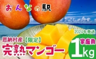 2024年発送完熟マンゴー 1kg（2～3玉） ご家庭用 おんなの駅（恩納村産）