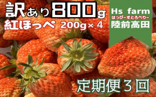 ＼ 訳あり ／ 採れたて「いちご」ハウス直送便！容量800g(200g×4パック) 1箱