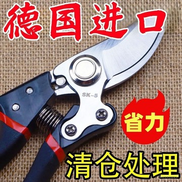 德國工藝進口 樹枝剪 園藝剪 花剪 園藝剪刀 修枝剪 高枝剪 粗枝剪刀 修花剪刀 果樹剪 園藝工具 花藝剪刀  GSPR