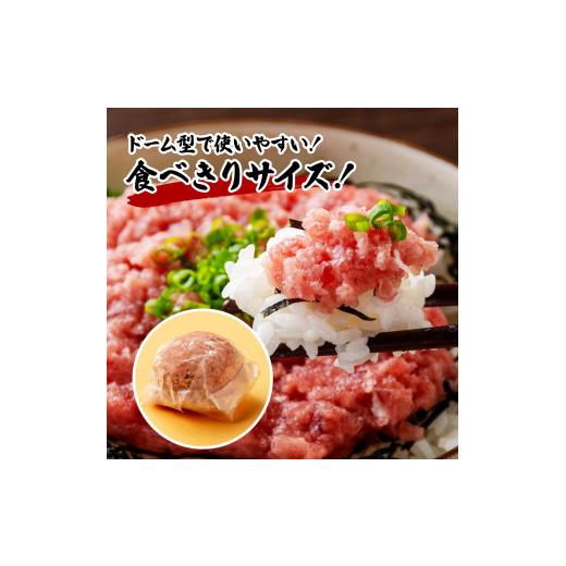 ふるさと納税 高知県 芸西村 ネギトロ80gx6P＋漬け鮪丼90gx6P 冷凍配送 簡易包装 小分け 惣菜 人気 海鮮 ネギトロ丼 まぐろたたき 海鮮丼 便利 かんたん 自然…