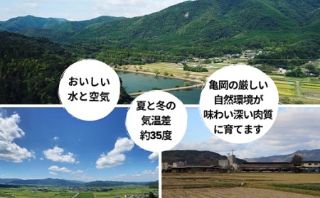 「亀岡牛」サーロインステーキ　5枚（1000ｇ） ☆祝！亀岡牛 2021年最優秀賞（農林水産大臣賞）受賞　≪京都 丹波 冷蔵便 牛肉 送料無料≫