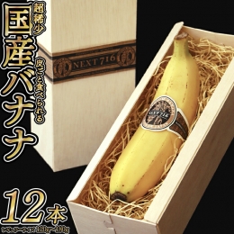 国産バナナ 「NEXT716」 12本セット