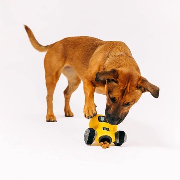 【P.L.A.Y. 星際藝工 Alien Buddies】3款造型 寵物陪伴、抗憂鬱