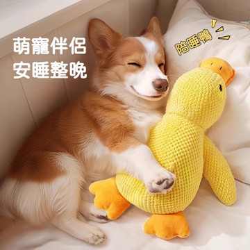 高雄出貨🔥狗狗玩具 解悶神器 寵物小狗毛絨玩偶 衝鋒鴨 磨牙玩具 發聲玩具 狗發聲玩具 狗磨牙玩具 貓狗玩具 寵物玩具