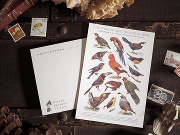 英國1910年百科圖鑑 復刻版明信片 L款