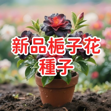 【新品梔子花種子】重瓣香花植物 室內盆栽 庭院花卉 台灣氣候適用 易種植 多年生 開花芬芳 淨化空氣 園藝療癒 新手推薦