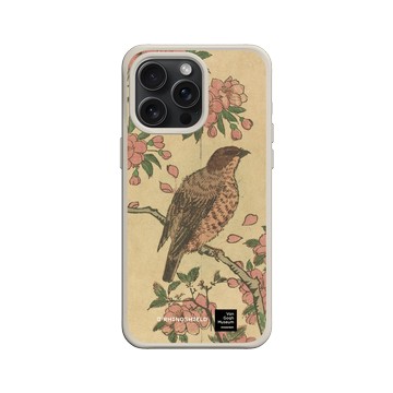 iPhone 15 Pro Max SolidX 貝殼灰 - Van Gogh Museum - 櫻花樹上的伯勞鳥
