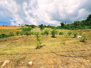 假日【城市農夫】楊梅交流道 楊光小學 景觀農地｜桃園市楊梅區二重溪段