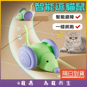 電動老鼠 逗貓 老鼠玩具 自動逗貓 電動逗貓 電動貓玩具 智能逗貓 逗貓車 貓咪老鼠 仿真老鼠 玩具老鼠 逗貓老鼠 玩具