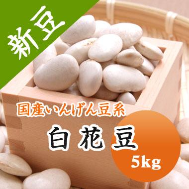 豆 白花豆 送料無料 北海道産 令和５年産 5kg 業務用