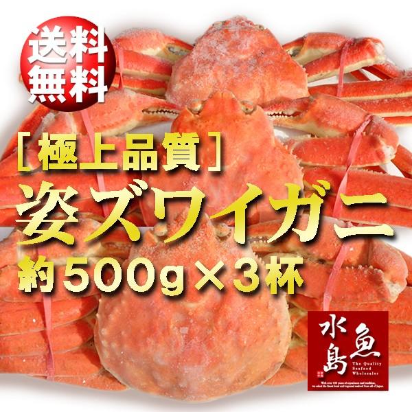 極上品質 ズワイガニ・姿 約500g×3杯（冷凍）送料無料