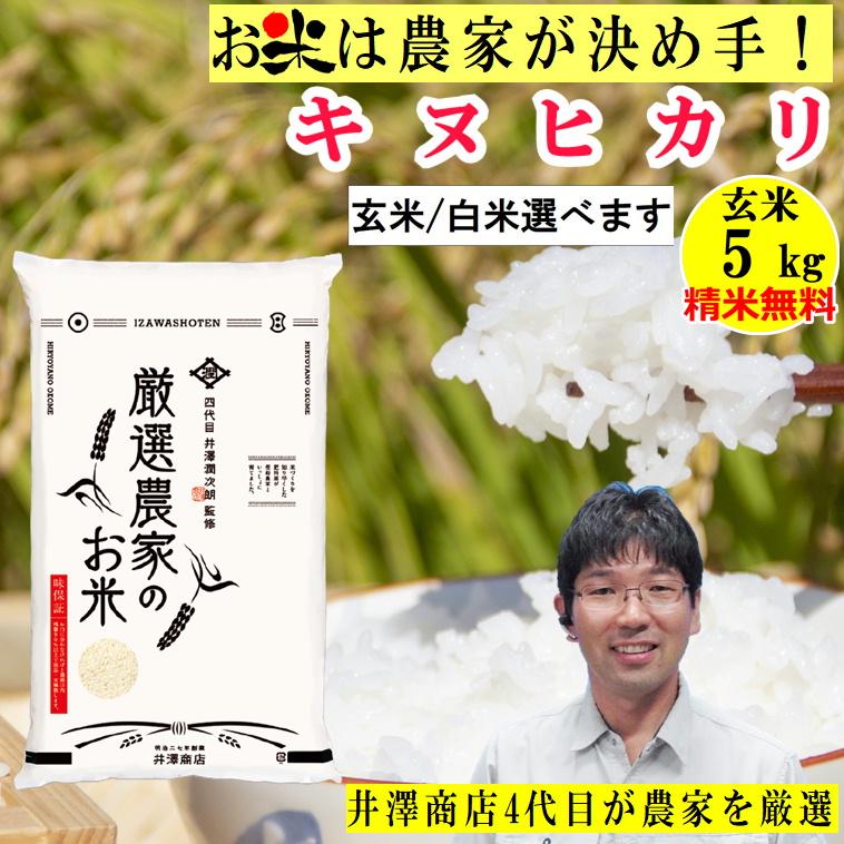 ＼新米入荷／米 玄米 5kg キヌヒカリ 厳選農家 玄米 白米 選択可 令和5年兵庫県産 産地直送