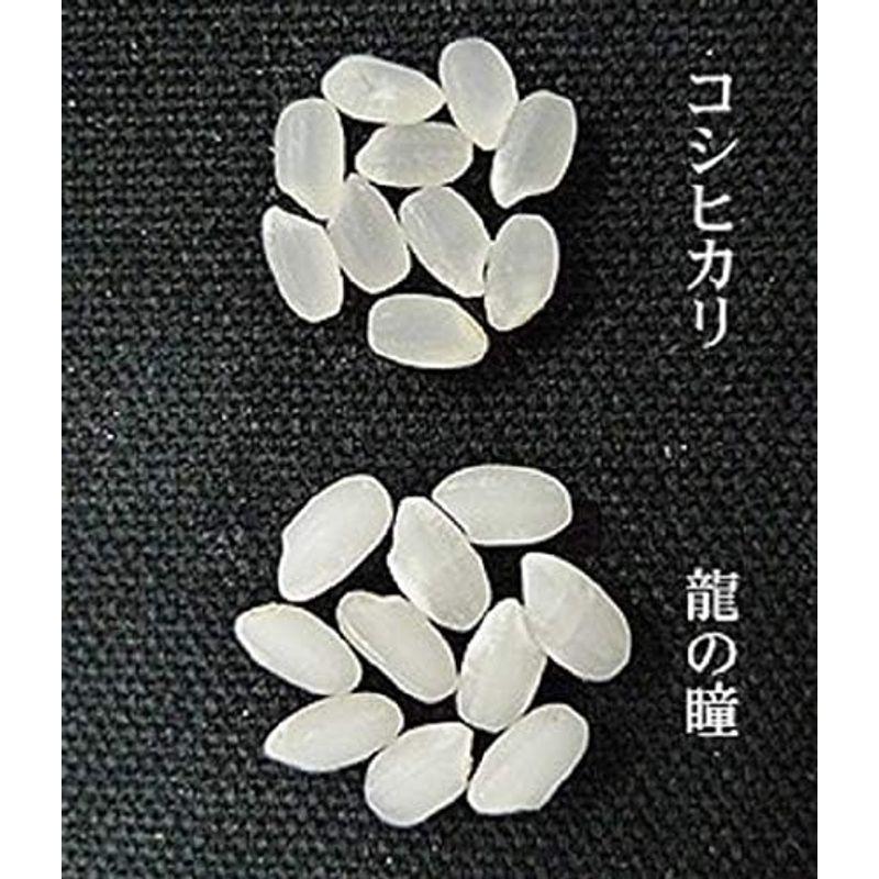 龍の瞳 精米 １０ｋg(5kg×2) 4年産 岐阜産 認定特約店00215（分づき 可） (白米)