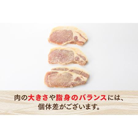 ふるさと納税 AB184.九州産黒豚ロース西京漬けセット（500g） 福岡県新宮町