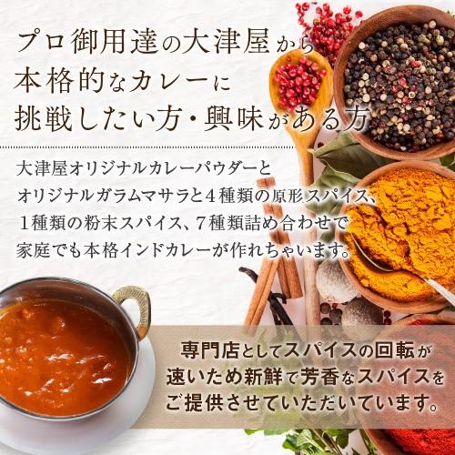 お試し 簡単 本格手作り インドカレー カレーパウダー スパイス原形 セット カレー粉 レシピ 送料無料 お家カレー スパイスカレー おうちカレー